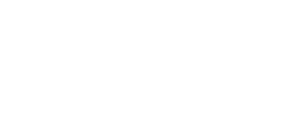 life safari young people logo